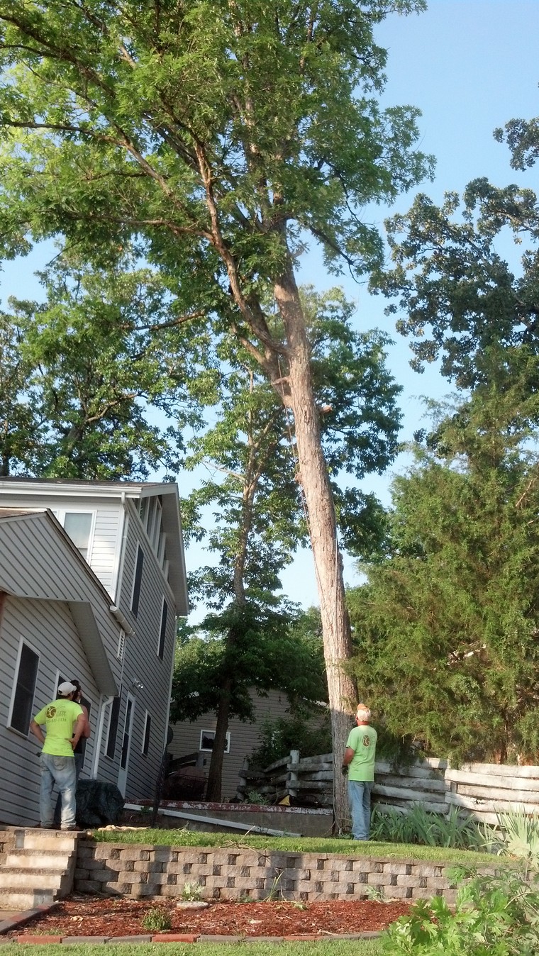 Camdenton MO Tree Removal